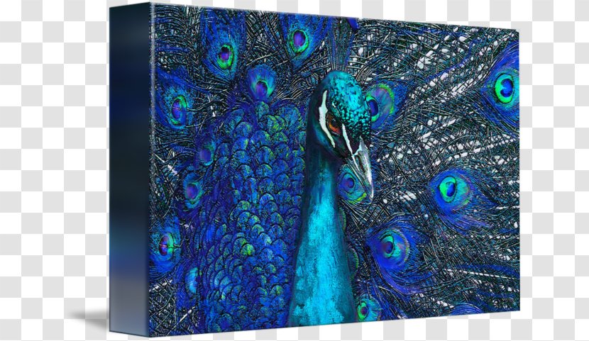 Digital Art Canvas Print Gallery Wrap - Blue Peacock Transparent PNG