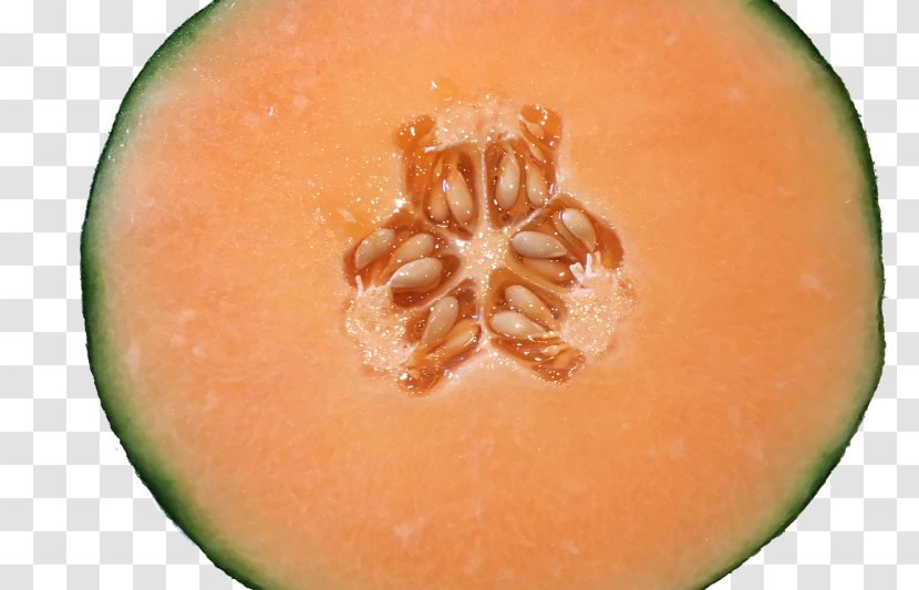 Galia Melon Cantaloupe Food Smoothie Transparent PNG