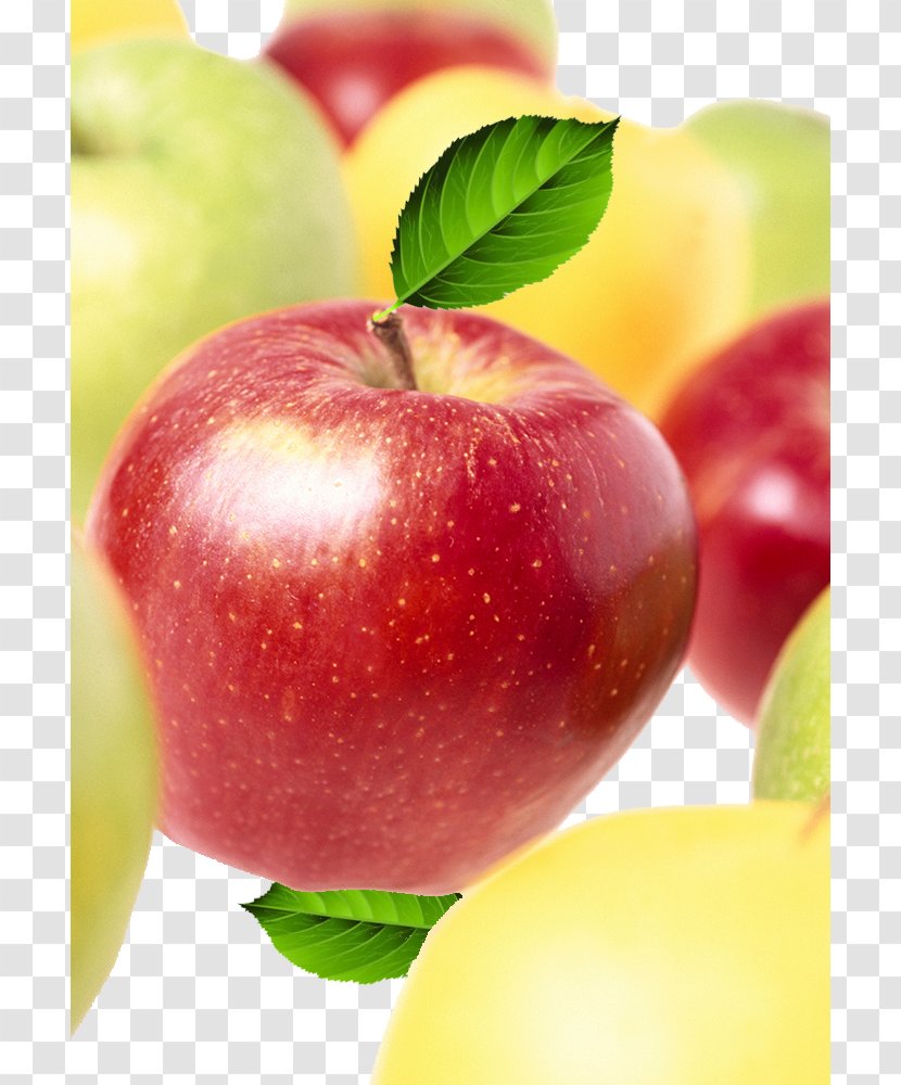 Apple Euclidean Vector - Diet Food - Red Green Transparent PNG