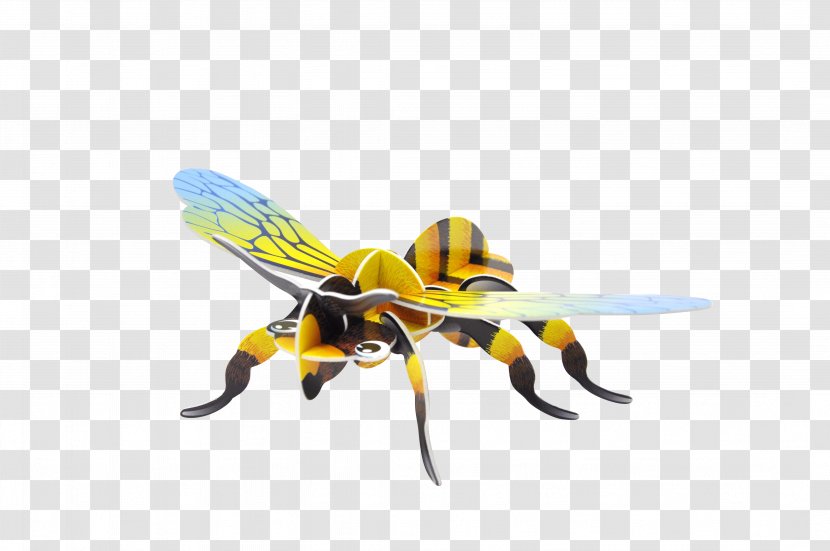 Honey Bee Hornet Three-dimensional Space Insect Shape - Long Tail Transparent PNG