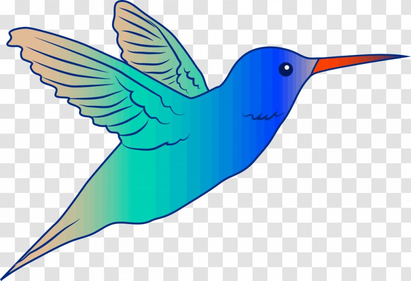 Bird Flight Clip Art - Hummingbird Transparent PNG