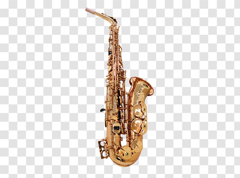 Baritone Saxophone Clarinet Family Bass Oboe - Player Transparent PNG