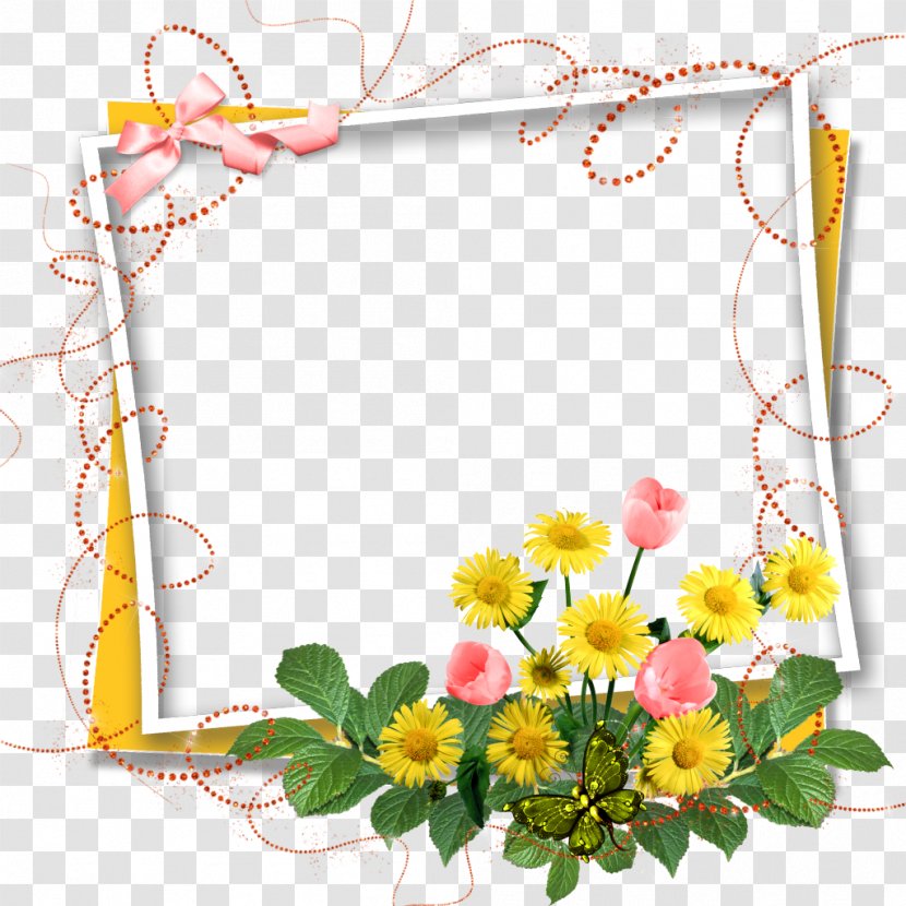 Birthday Greeting & Note Cards Wish Clip Art - Flora - Orange Frame Transparent PNG