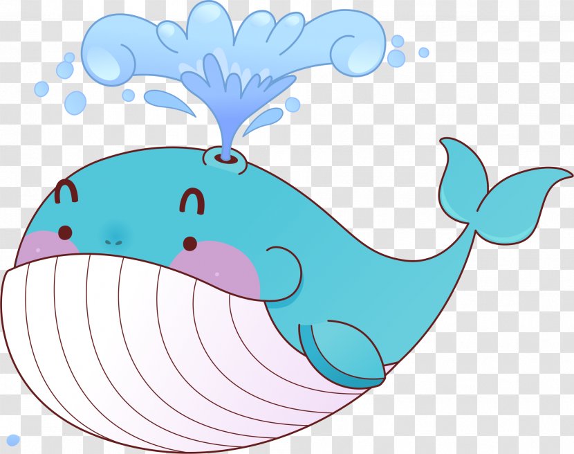 Whale Cartoon - Color Transparent PNG