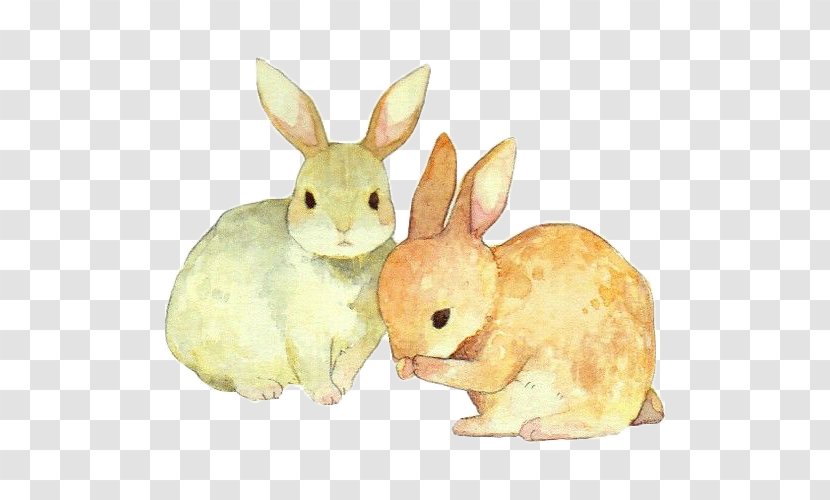Rabbit Illustration Watercolor Painting Drawing Image - 2018 - Baby Transparent PNG
