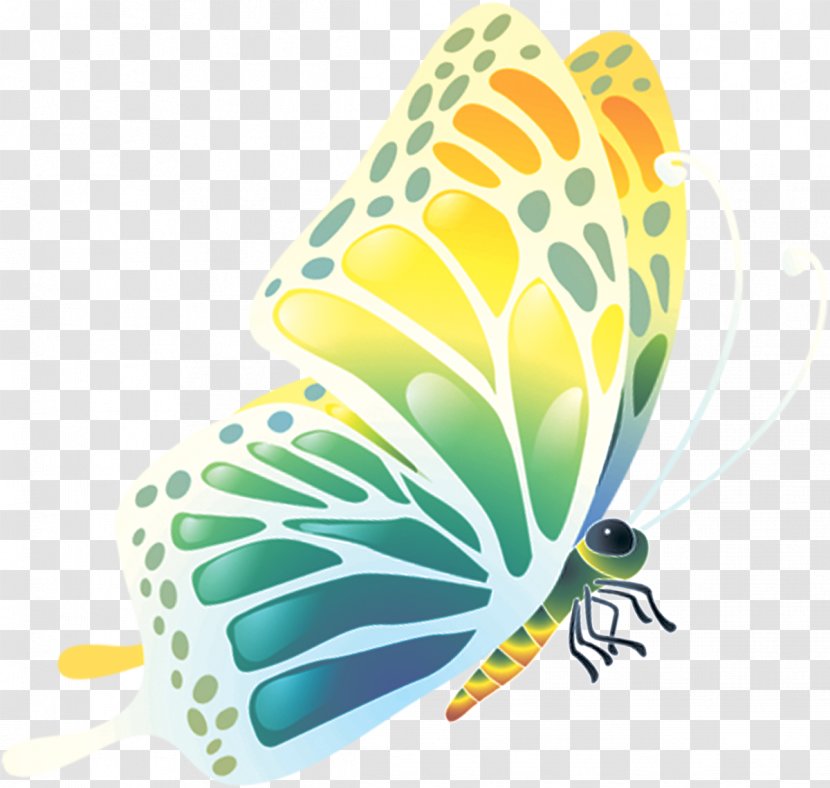 Desktop Wallpaper Android Match Pairs Kids Memory Game - Moths And Butterflies - Latest Edition WallpaperButterflies Float Transparent PNG