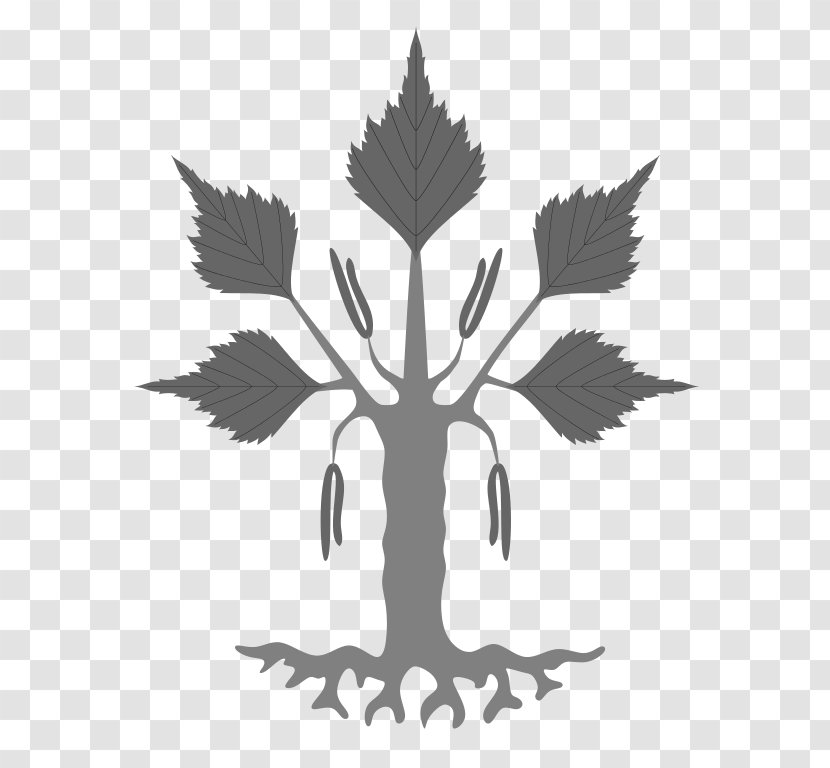 Tree Coat Of Arms Heraldry Silver Birch Rowan - Symbol Transparent PNG