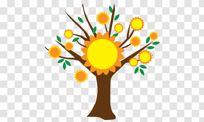Sunflower Montessori Daycare Education Cut Flowers Plant - Vector Transparent PNG