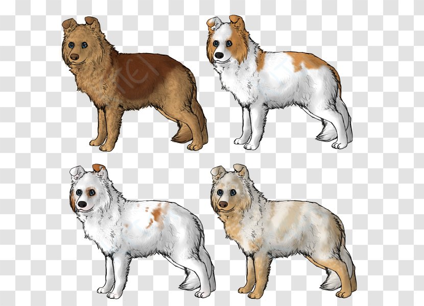 Dog Breed Rare (dog) Puppy Group Transparent PNG
