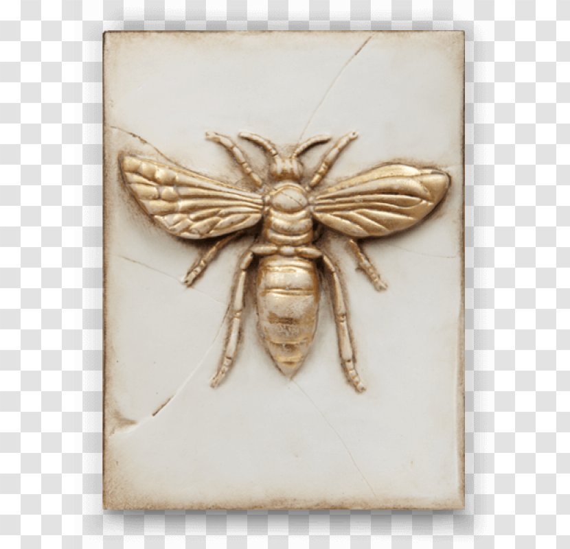 Sid Dickens Inc Tile Wall Table Plaster - Invertebrate - French Fashion Magazines Transparent PNG