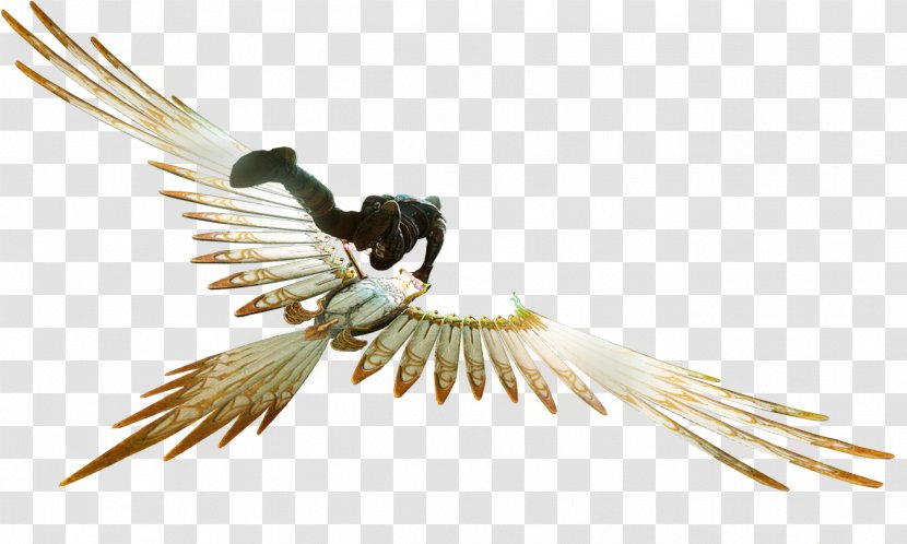 ArcheAge Glider Video Games Image - Wing - Bird Of Prey Transparent PNG