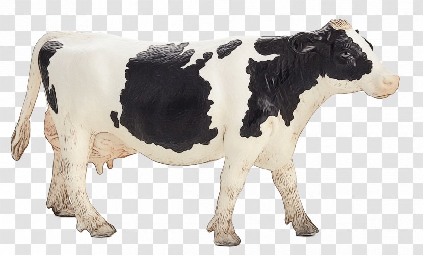 Cow Background - Cattle - Bull Figurine Transparent PNG