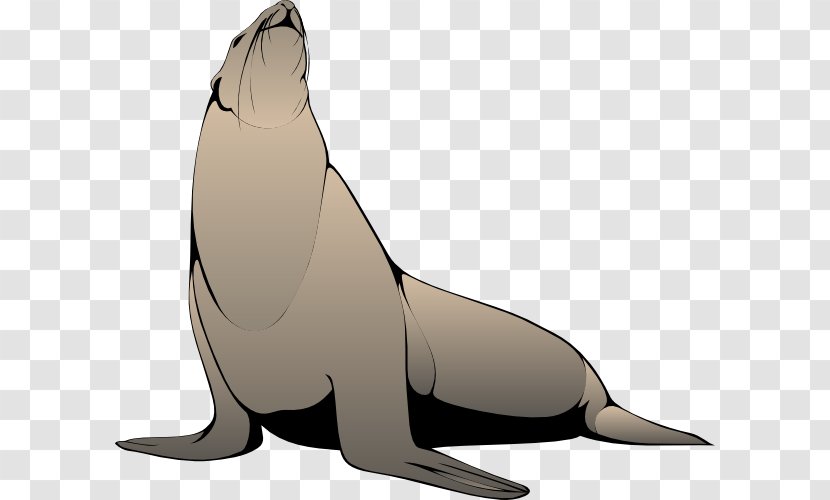 Pinniped Free Harp Seal Clip Art - Zoo Animal Clipart Transparent PNG