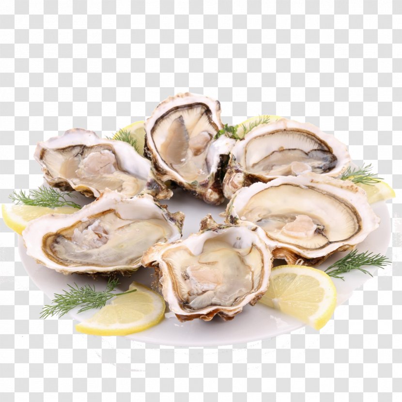 Oyster Caridea French Cuisine Barbecue Seafood - Animal Source Foods - Clams Transparent PNG