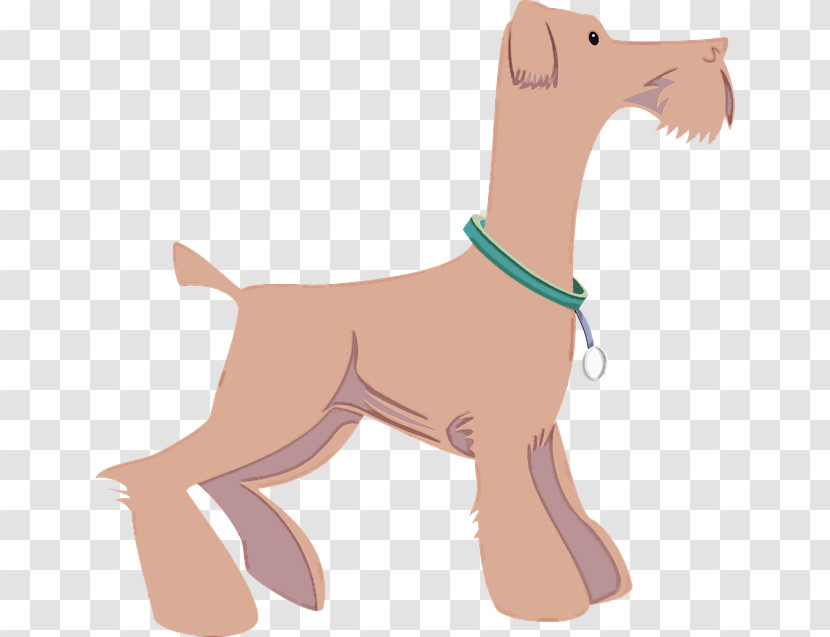 Dog Tail Fawn Liver Airedale Terrier Transparent PNG