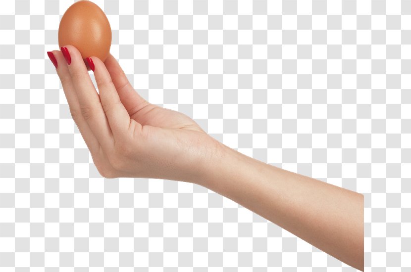 Fried Egg Display Resolution - Hand Holding Transparent PNG