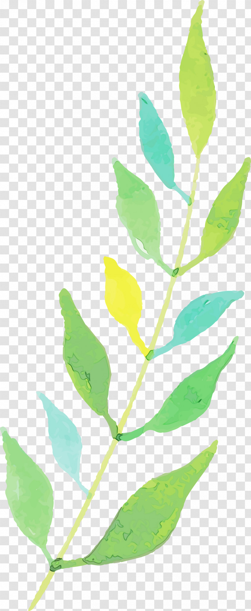 Twig Plant Stem Leaf Flower Plants Transparent PNG