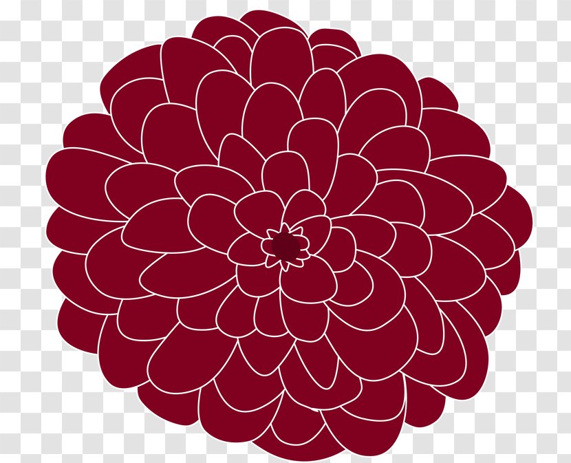 Dahlia Floral Design Cut Flowers Chrysanthemum - Petal - Zinnias Bubble Transparent PNG