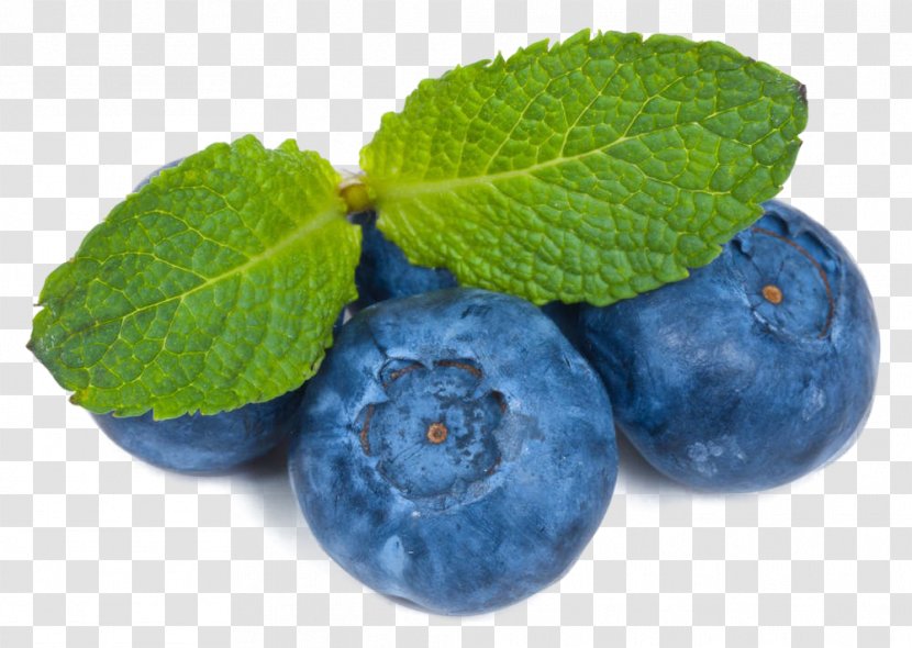 Blueberry Tea Bilberry Leaf Photography - Fruit Transparent PNG