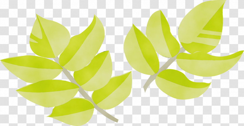 Leaf Green Plant Yellow Flower Transparent PNG