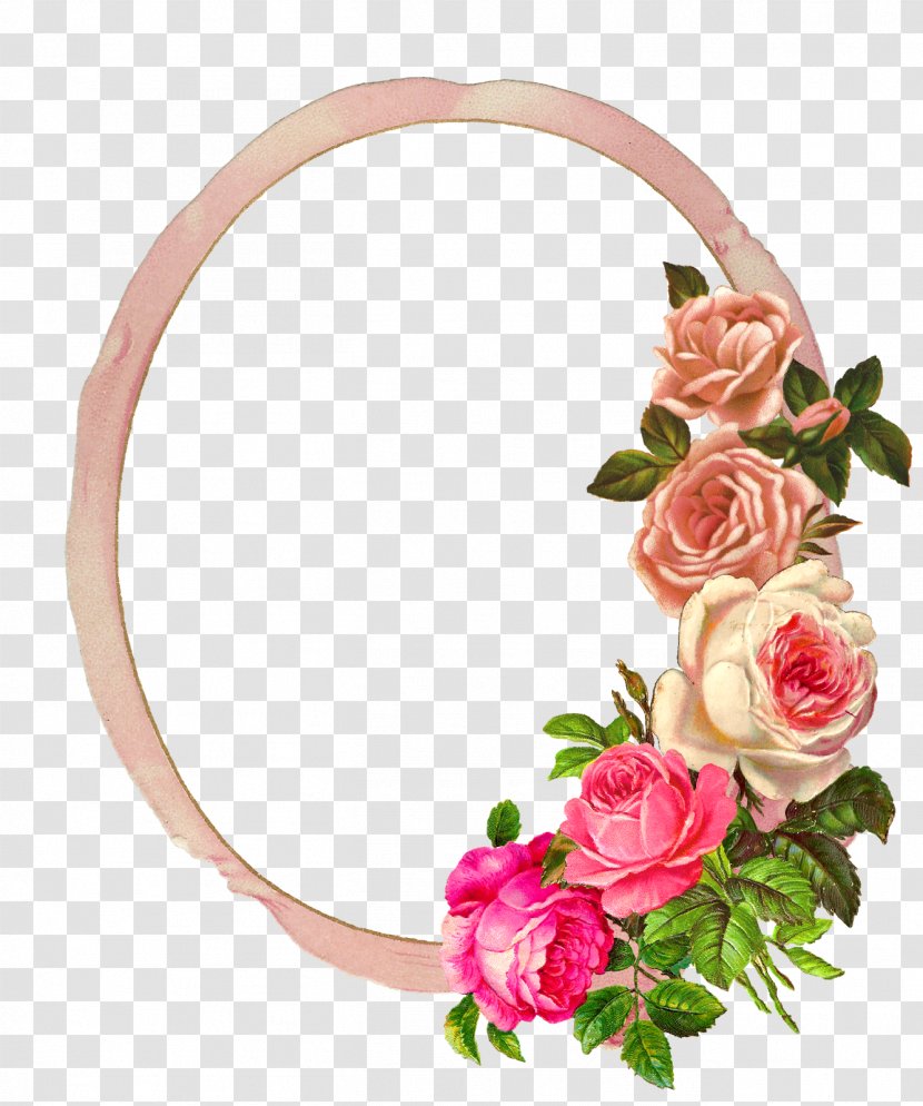 Picture Frames Paper Rose Flower - Garden Roses - Pink Border Transparent PNG