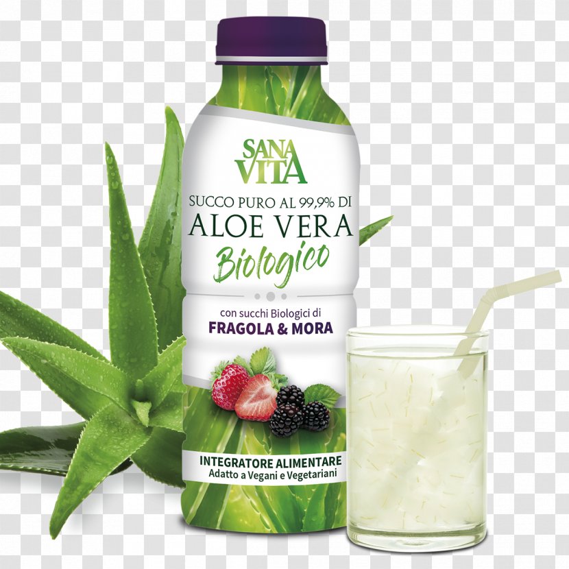 Dietary Supplement Aloe Vera Juice Acid Gras Omega-3 Plants - Fermentation Transparent PNG