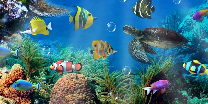 Aquarium Android Desktop Wallpaper Aptoide - Biome Transparent PNG