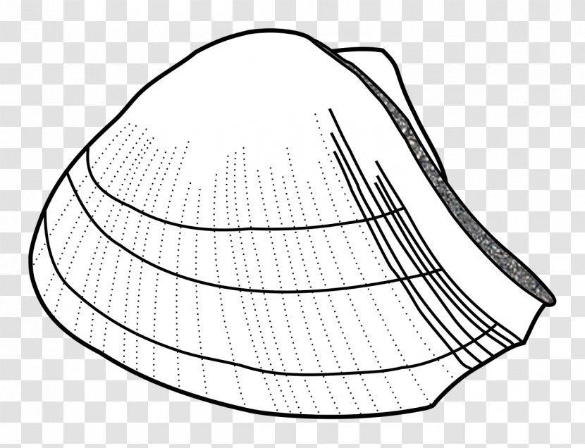 Rostroconchia Encyclopedia Wikipedia Extinction Prime Version - Line Art - Paleobiology Transparent PNG