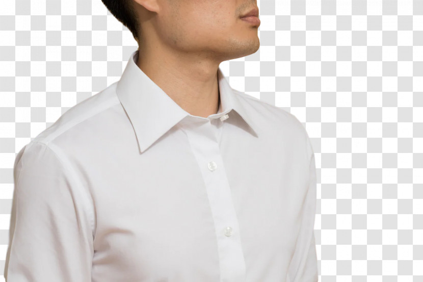 Dress Shirt Sleeve Collar Blouse Button Transparent PNG