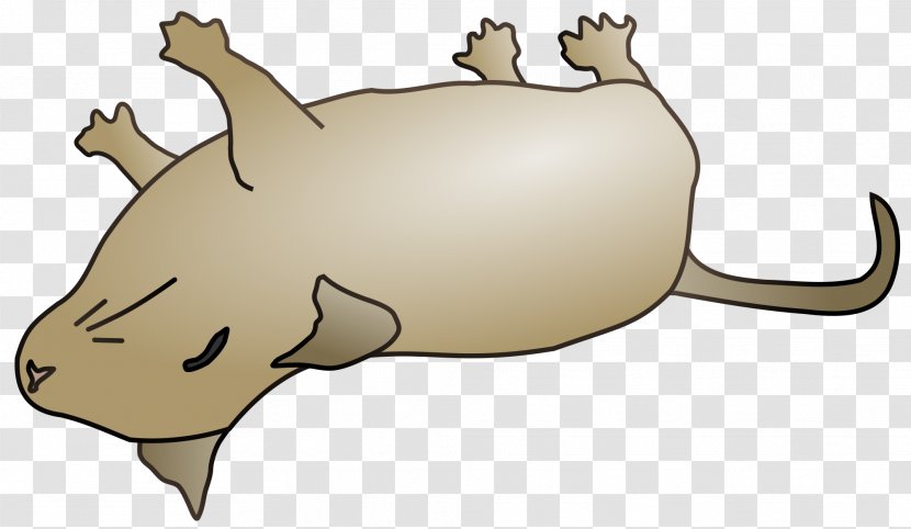 Animal Cartoon - Reptile - Tail White Rhinoceros Transparent PNG