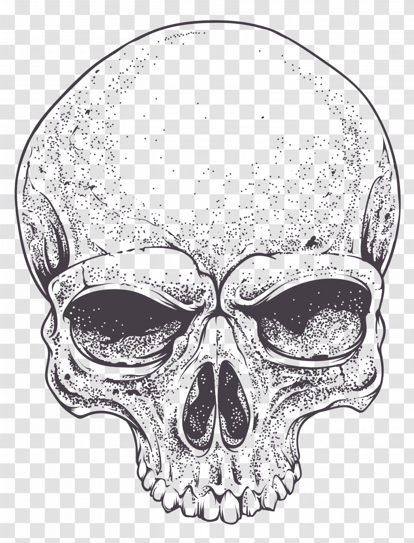 Royalty-free Skull - Drawing - Rollup Banner Transparent PNG