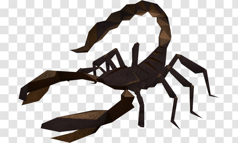 RuneScape Scorpion Wikia Crab - Insect Transparent PNG