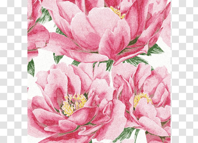 Floral Design Watercolor Painting Cabbage Rose Cut Flowers - Pink - Flower Transparent PNG