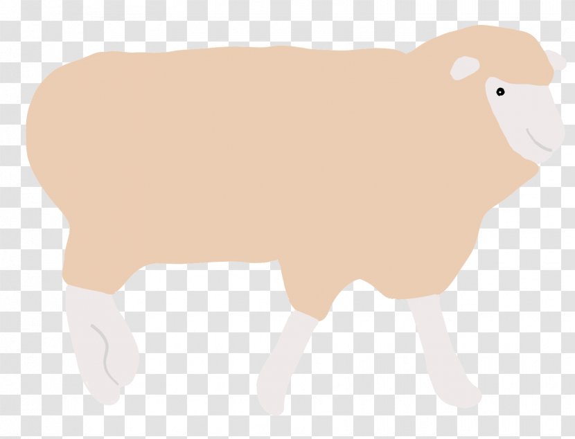 Sheep Cattle Clip Art Illustration Wildlife - Horn Transparent PNG