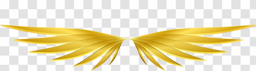 Desktop Wallpaper Close-up Computer Symmetry - Moths And Butterflies Transparent PNG