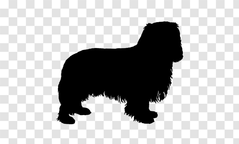 Sheltie Rough Collie Pomeranian Old English Sheepdog Dog Breed - Sporting Group - Mammal Transparent PNG