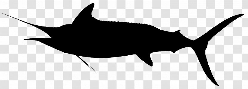 Shark Clip Art Fauna Line Marine Mammal - Fin Transparent PNG