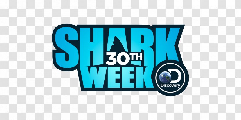 Shark Discovery Channel Anniversary Film Television - Megalodon Transparent PNG