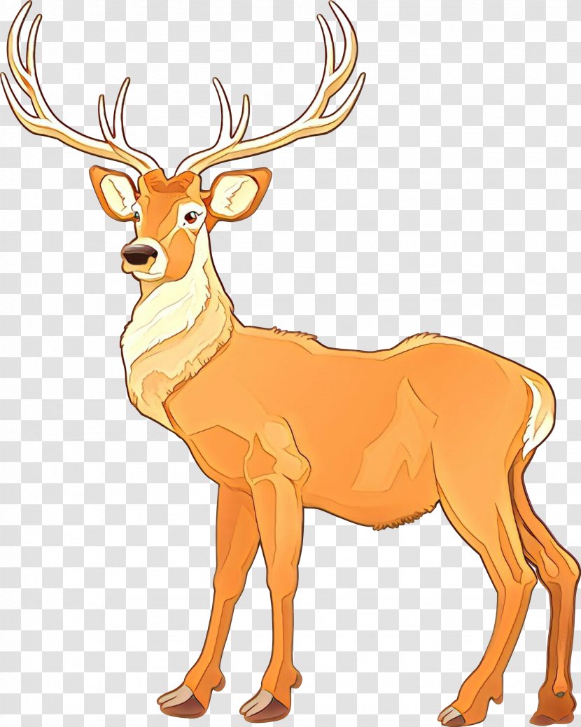 Reindeer - Antler - Elk Antelope Transparent PNG