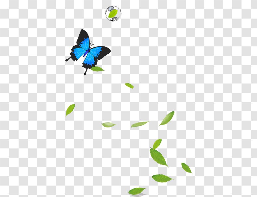 Google Images Computer File - Point - Grass Butterfly Transparent PNG