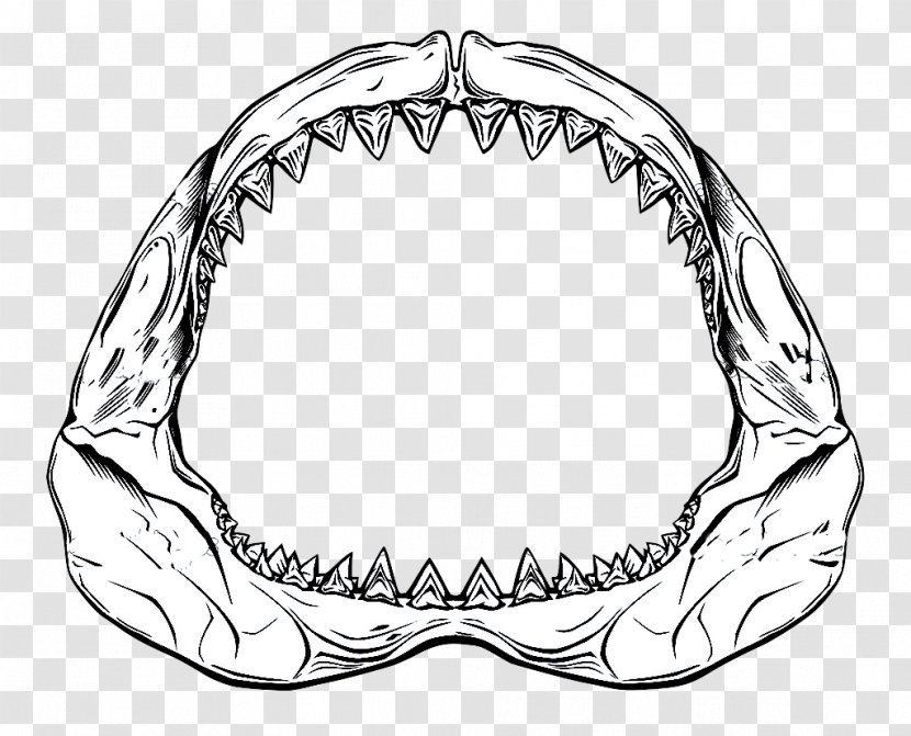 Shark Jaws Drawing - Monochrome - Sharks Transparent PNG