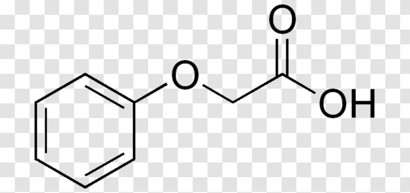 Phenylalanine Amino Acid Cinnamic Caffeic - Black And White - Chemical Substance Transparent PNG