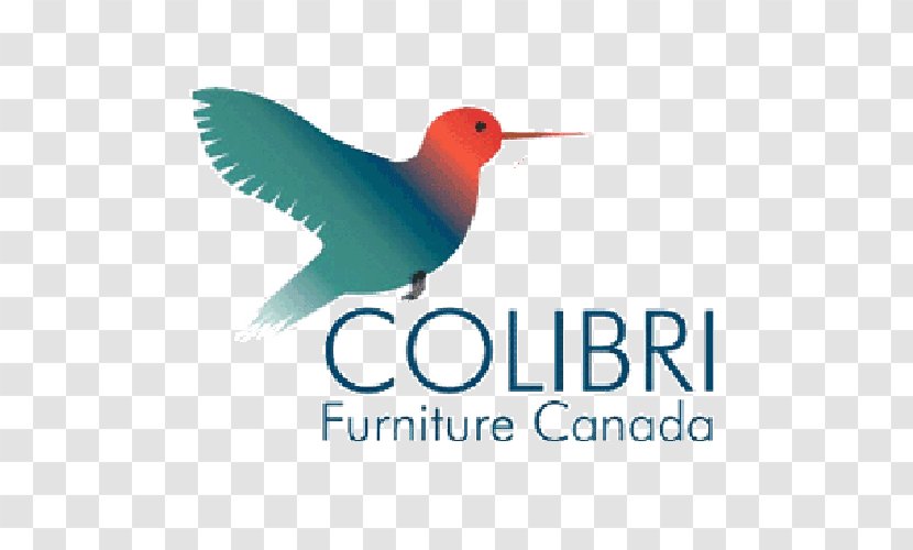 Logo Colibri Group California State Route 1 Advertising Brand - Beak - Canada Transparent PNG