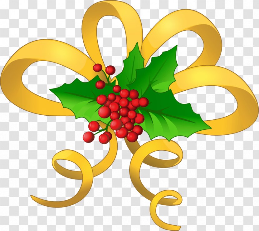 Holly - Flower - Fruit Transparent PNG