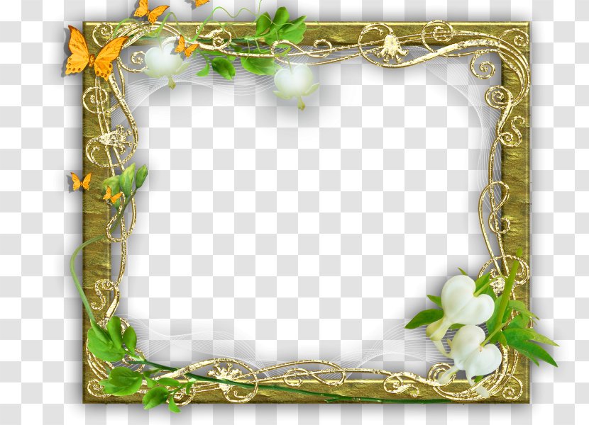 Picture Frames Photography Clip Art - Blog - Design Transparent PNG