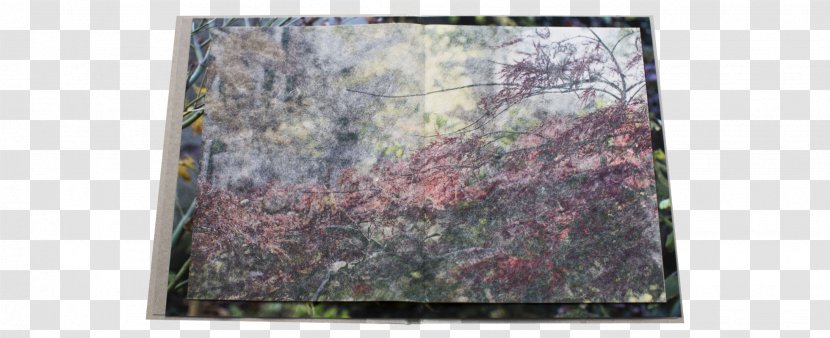 Book Ellen Korth Paper Photography Adad - Frame Transparent PNG