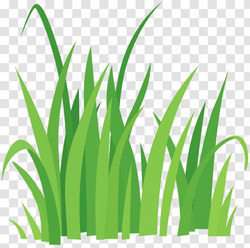 Vector Graphics Clip Art Royalty-free Illustration Image - Tree - Grass Transparent PNG