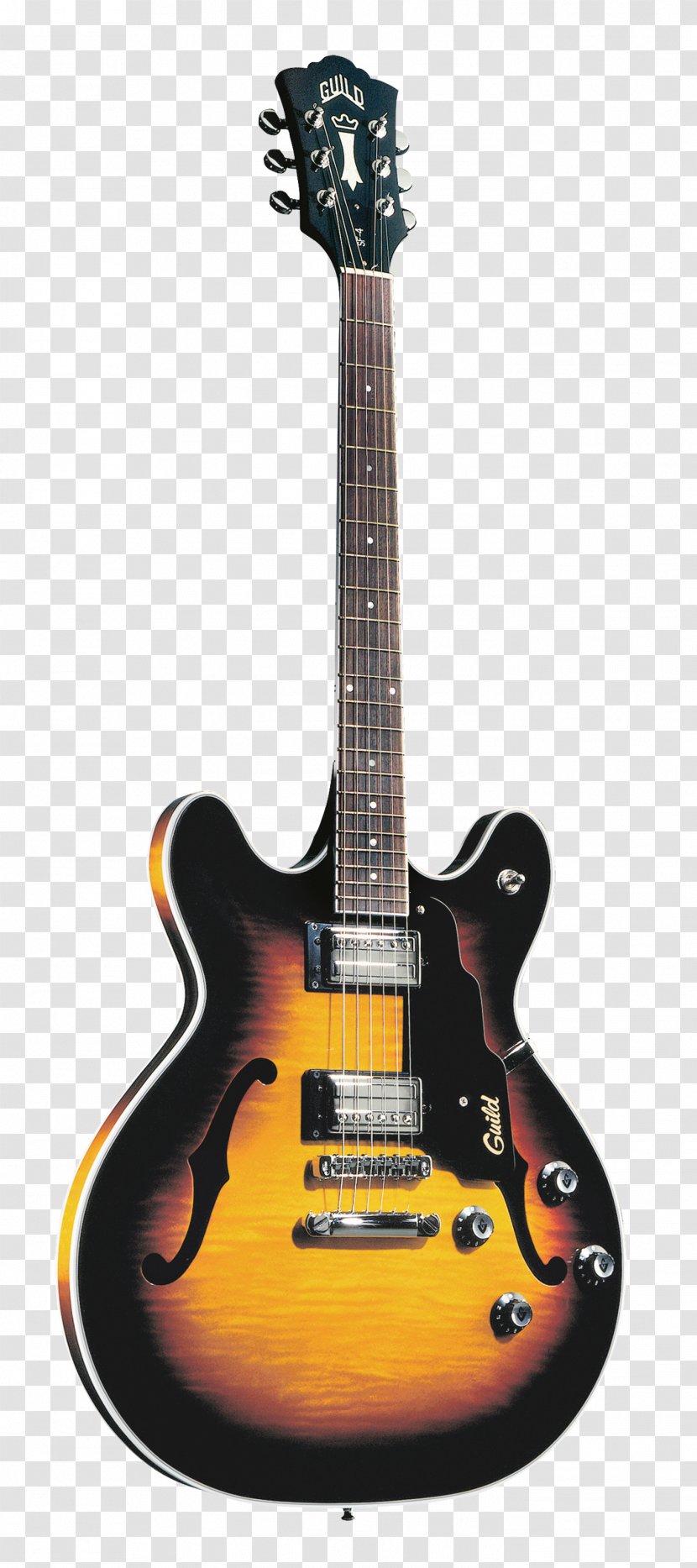 Acoustic Guitar Acoustic-electric Takamine Guitars Cutaway - Watercolor Transparent PNG