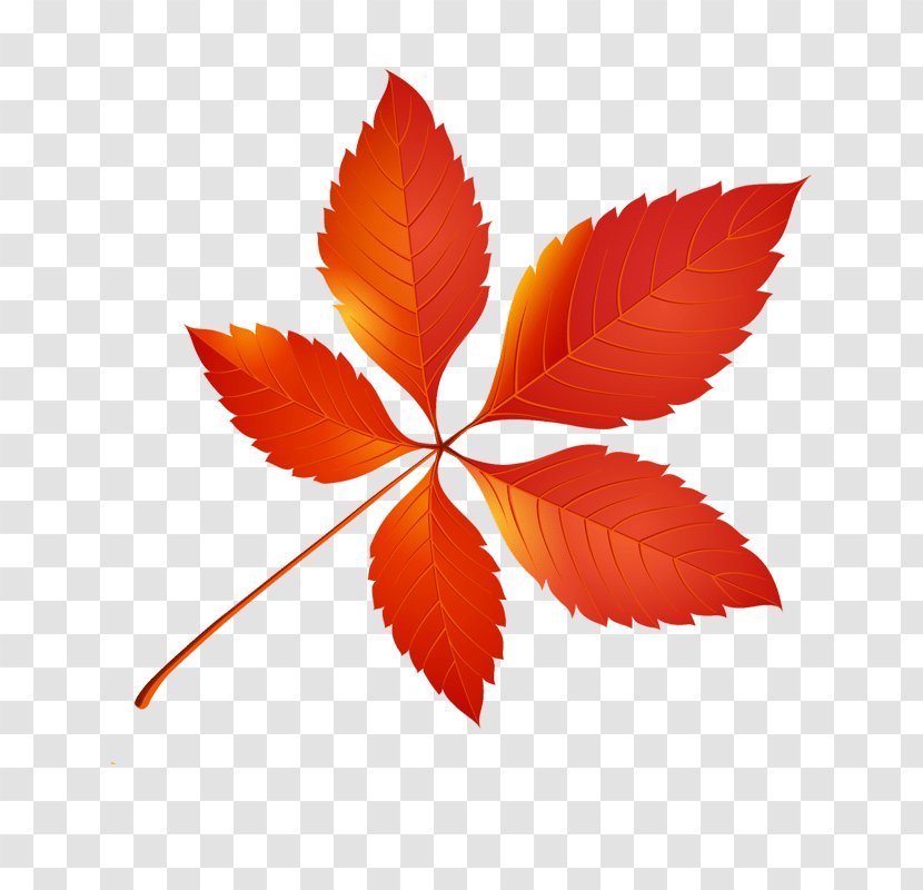 Autumn Leaf Color Clip Art - Symmetry Transparent PNG