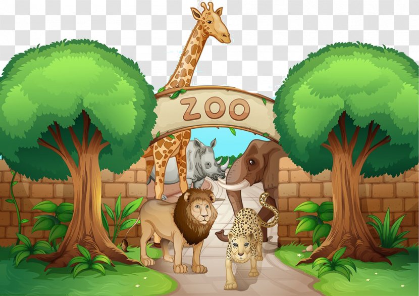 Lion Giraffe Leopard Illustration - Stock Photography - Cartoon Zoo Material Transparent PNG